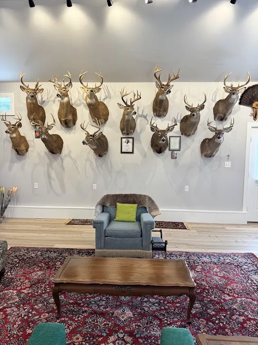 Turn Cycle Solutions Picture 5