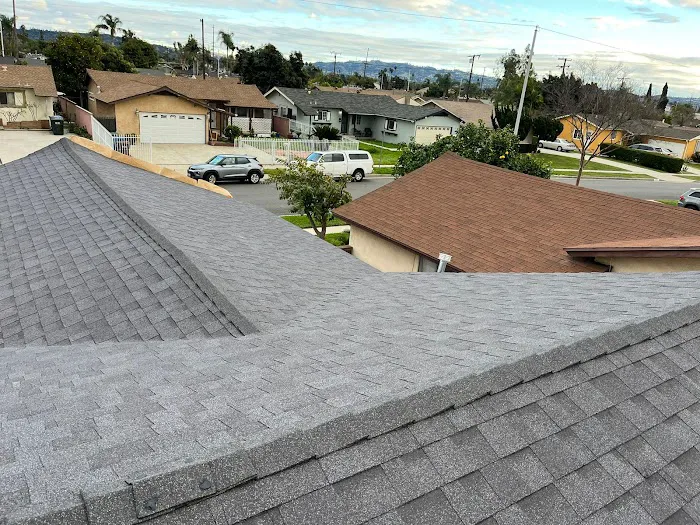 Silver Roofing Specialist Picture 2