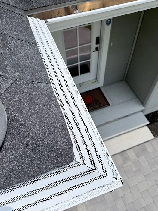 Skyfall Gutters Picture 5