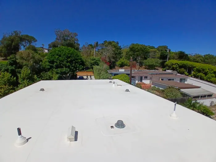 Immaculate Roofing Inc. Picture 8