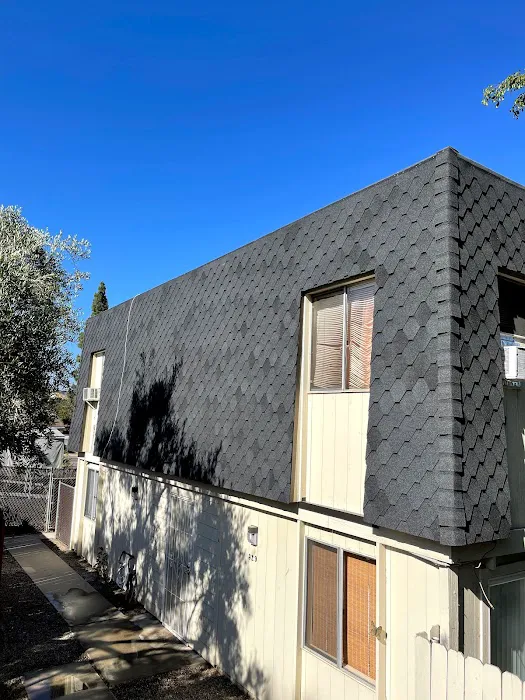 Zenith Roofing Services Picture 7