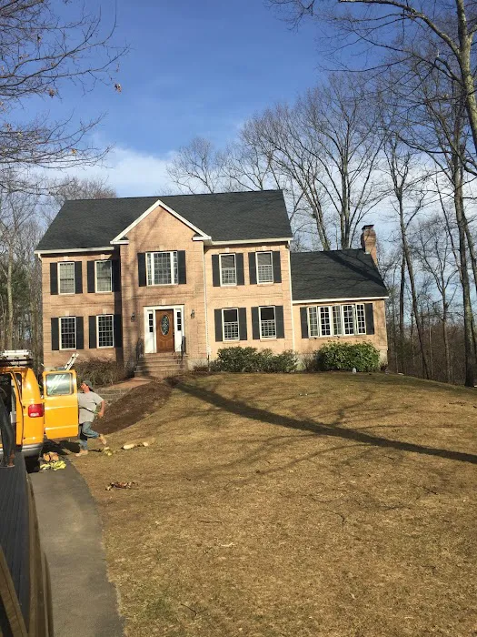 Mr. B's Roofing Picture 4