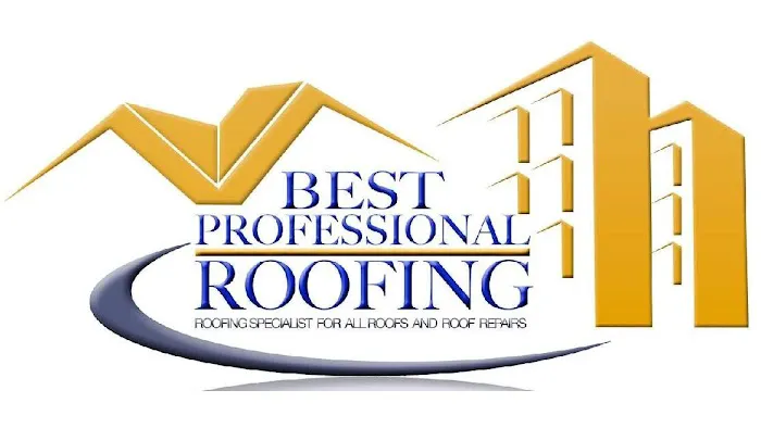Best Professional Roofing Picture 1