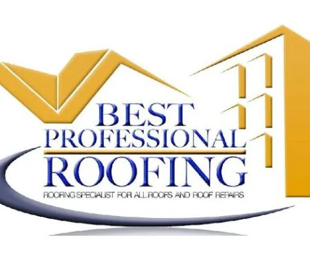 Best Professional Roofing