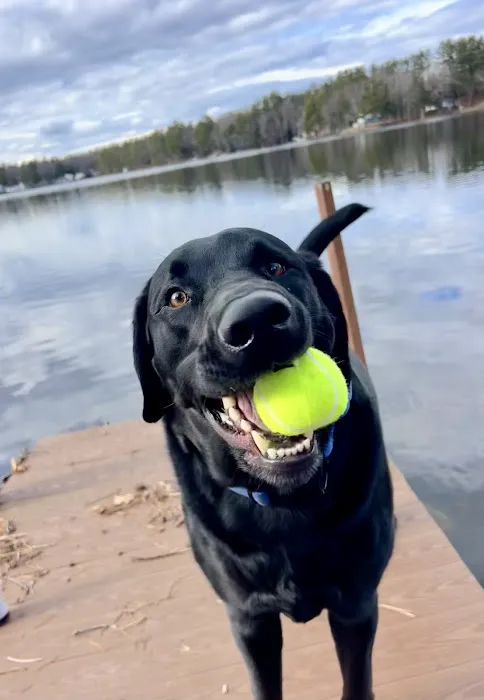 Jnr Gutters Inc Picture 4