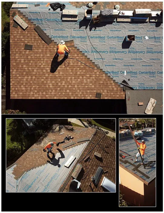 Shake, Shingle & Roll Roofing Picture 6