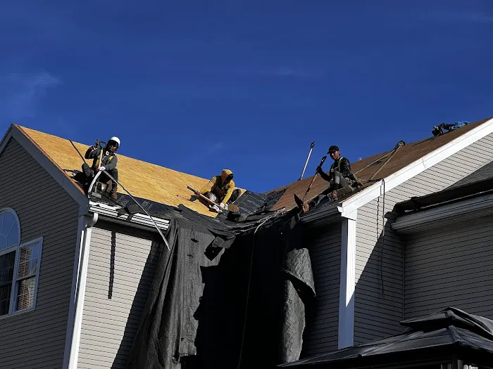 Brittivia Homes & Construction Picture 10