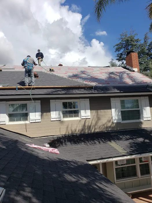 Roof Land Picture 7