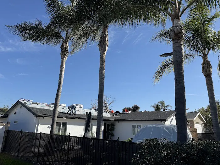 Alfredo's Roofing Picture 7