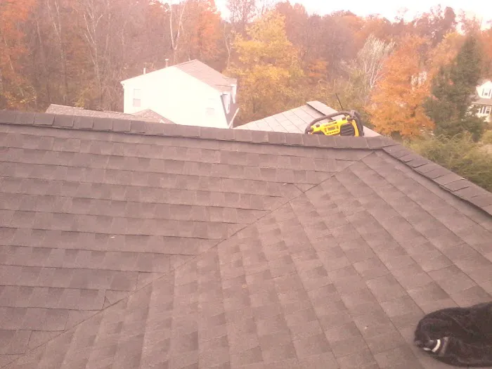 roof company Better Home Remodeling Picture 9