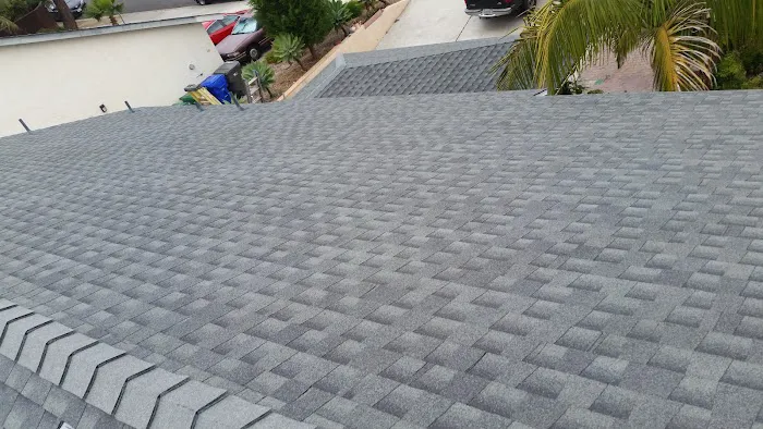 Polly's Roofing Removal Picture 7