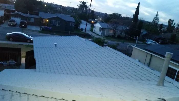 Polly's Roofing Removal Picture 9