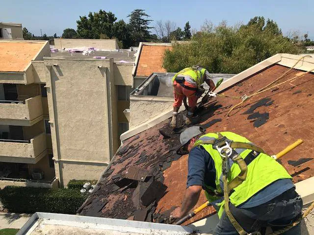 Alta Roofing & Waterproofing Picture 2