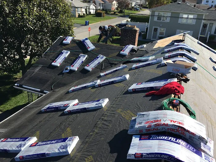 Bucci Roofing+ LLC Picture 7