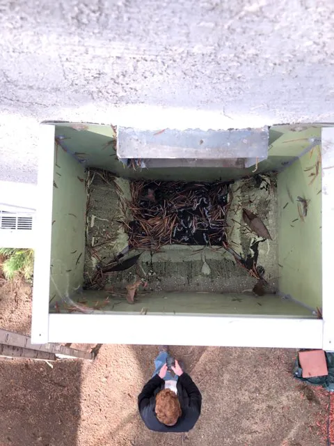 TruePeak Roofing Picture 1