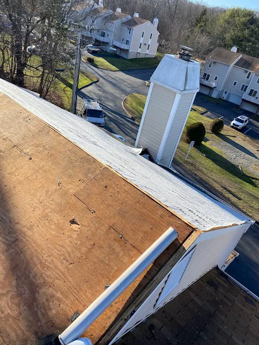 MJ ROOFING SIDING & MORE LLC Picture 4