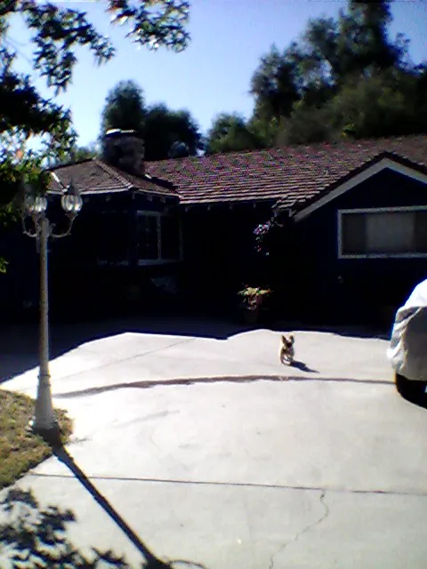 Konrad Roofing Picture 6