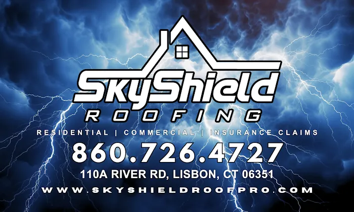 SkyShield Roofing Picture 3