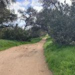 Skyline Escondido Roofers