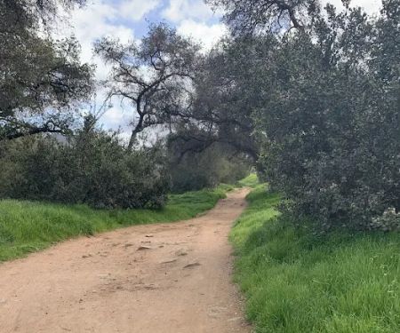 Skyline Escondido Roofers