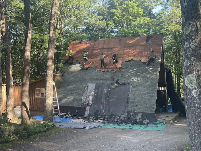 Klaus Roofing Systems by J Smegal Picture 6