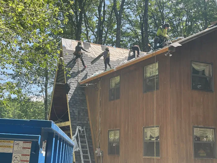 Klaus Roofing Systems by J Smegal Picture 7