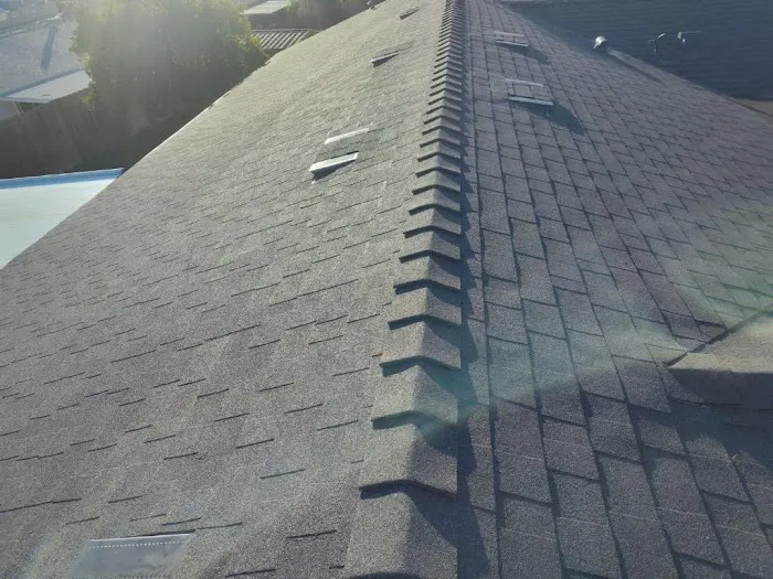Quality Roofing Picture 9