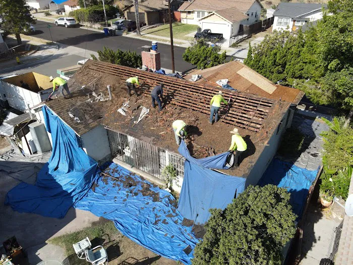 Alpha Demolition Picture 1