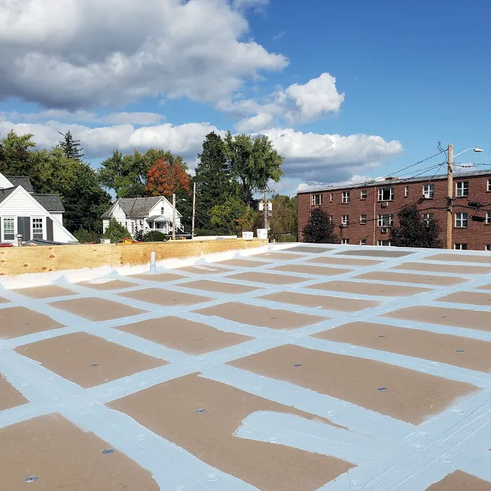 Green Roof Solutions,LLC Picture 3