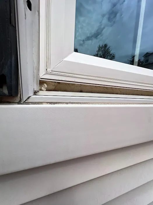 BuildEx Construction Inc Picture 9