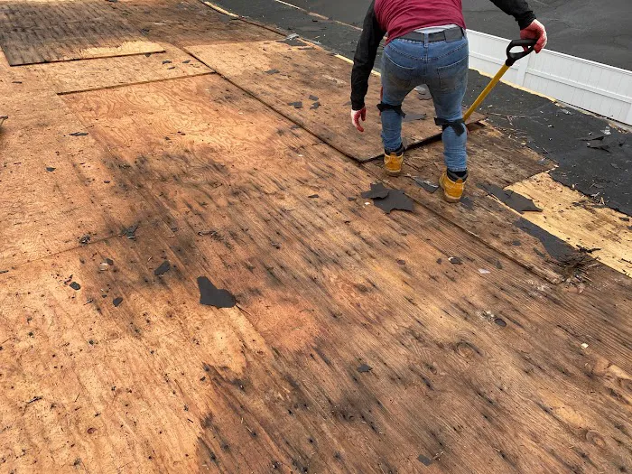 Vector Home Improvement Picture 8