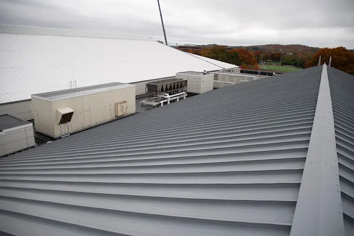 Supreme Roofing Picture 4