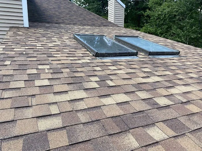 Sully's Construction Picture 4