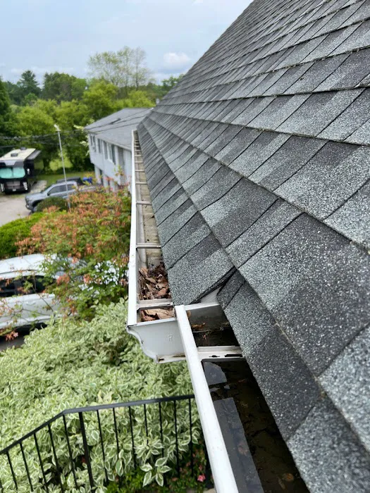 Udderly Gutters Picture 7