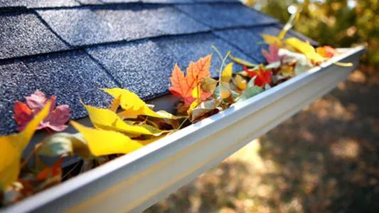 Cape Cod Gutters Picture 2