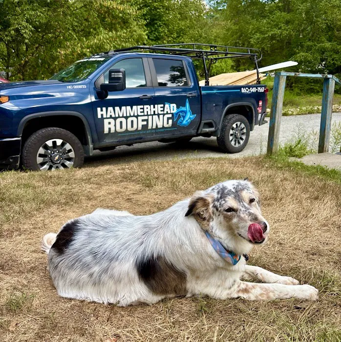 HammerHead Roofing LLC Picture 2