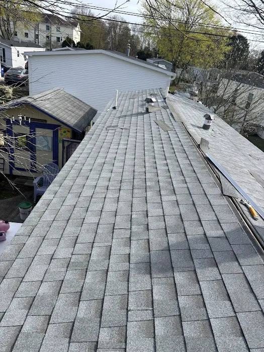 Roof,siding,1981 Picture 4