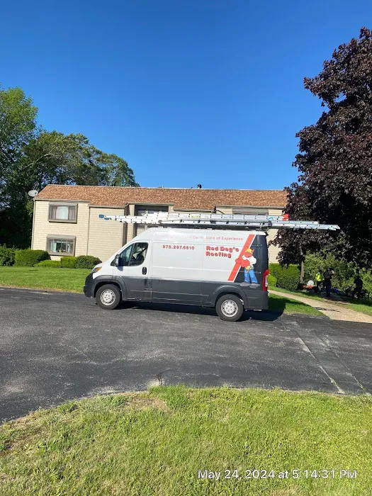 Red Dog's Roofing Picture 3