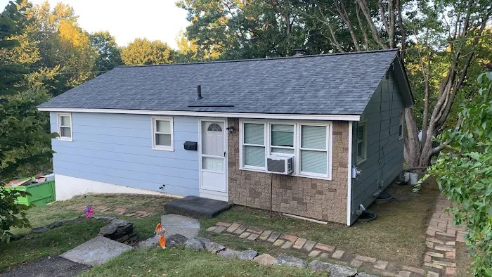 Red Dog's Roofing Picture 6