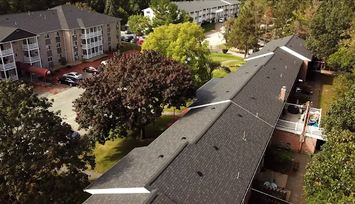 Red Dog's Roofing Picture 7