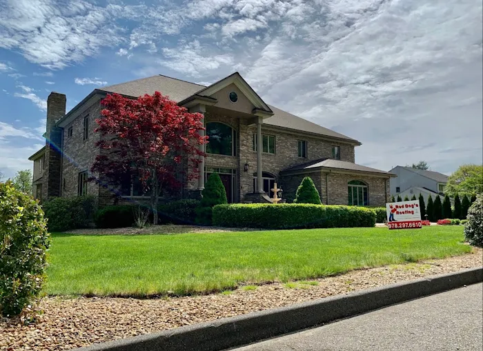 Red Dog's Roofing Picture 8