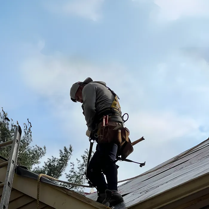 Red Dog's Roofing Picture 9