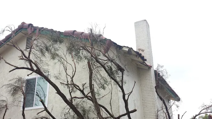 Best Professional Roofing Picture 1