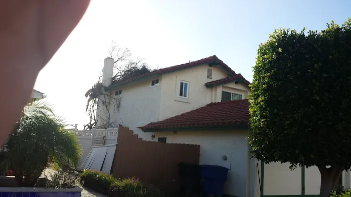 Best Professional Roofing Picture 2