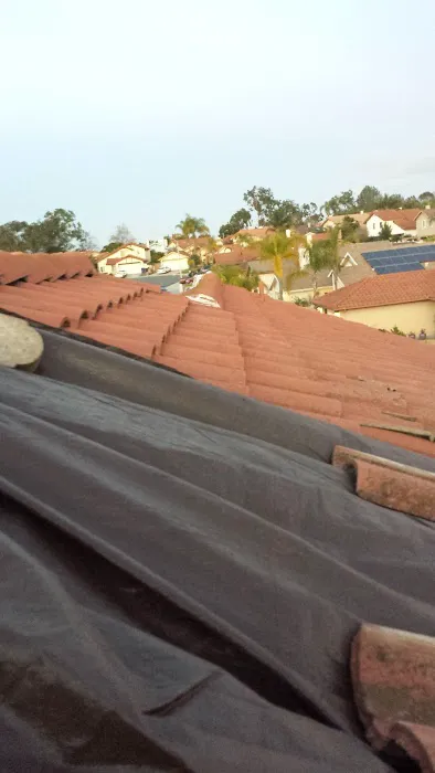 Best Professional Roofing Picture 3