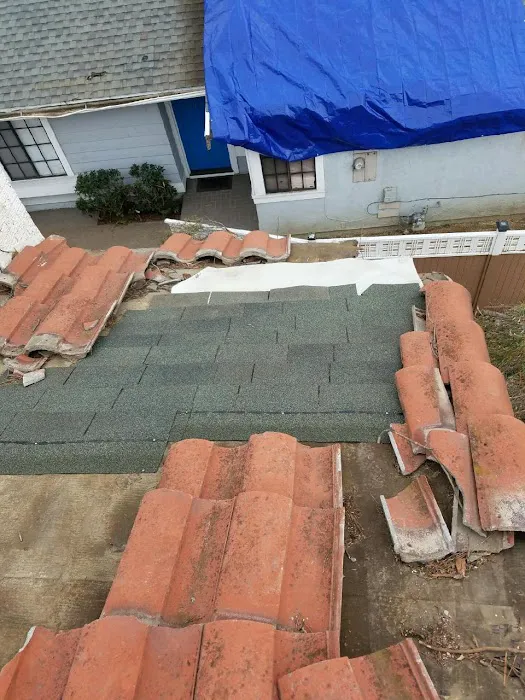 Best Professional Roofing Picture 4