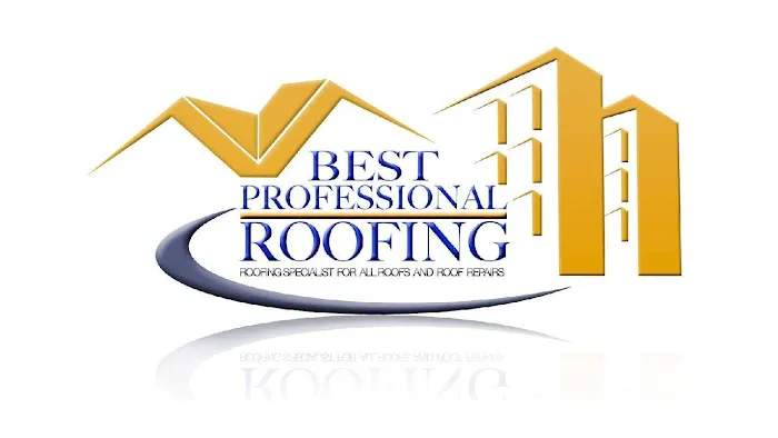 Best Professional Roofing Picture 5