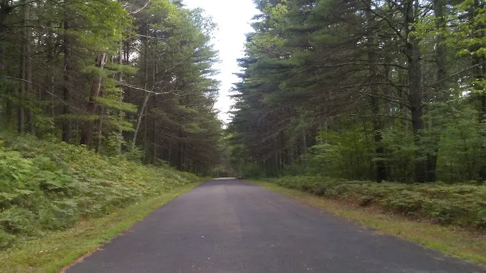 St Laurent Brothers Picture 2