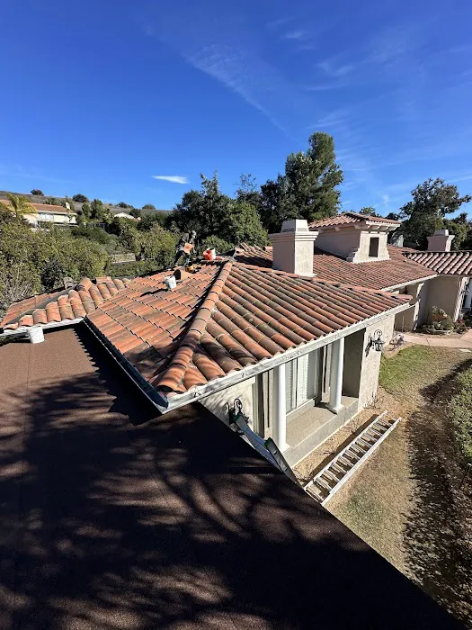 El Puma Roofing Picture 3