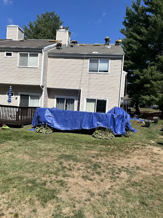 JP Carroll Roofing Picture 5